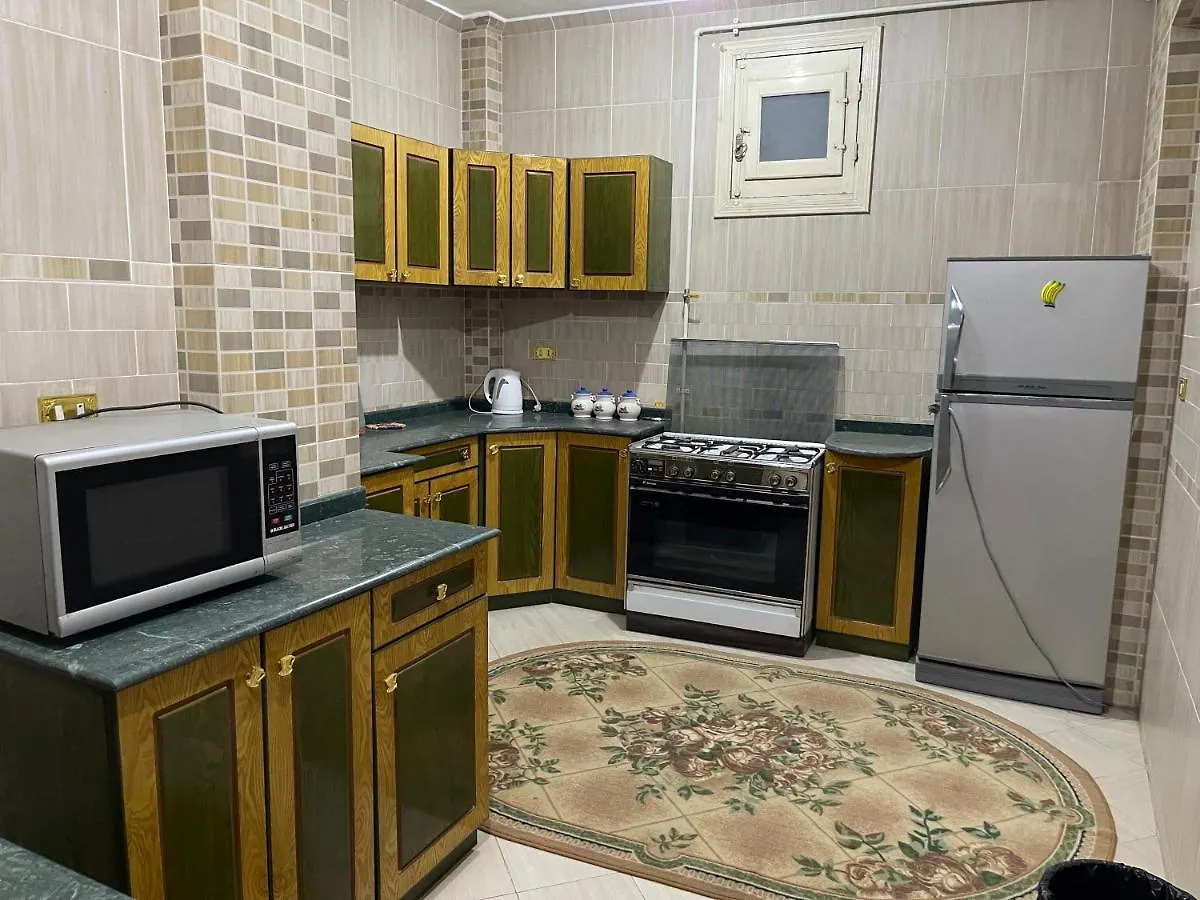 Dr Milad Shokralla Multiple Central Flats Luxor 0*,