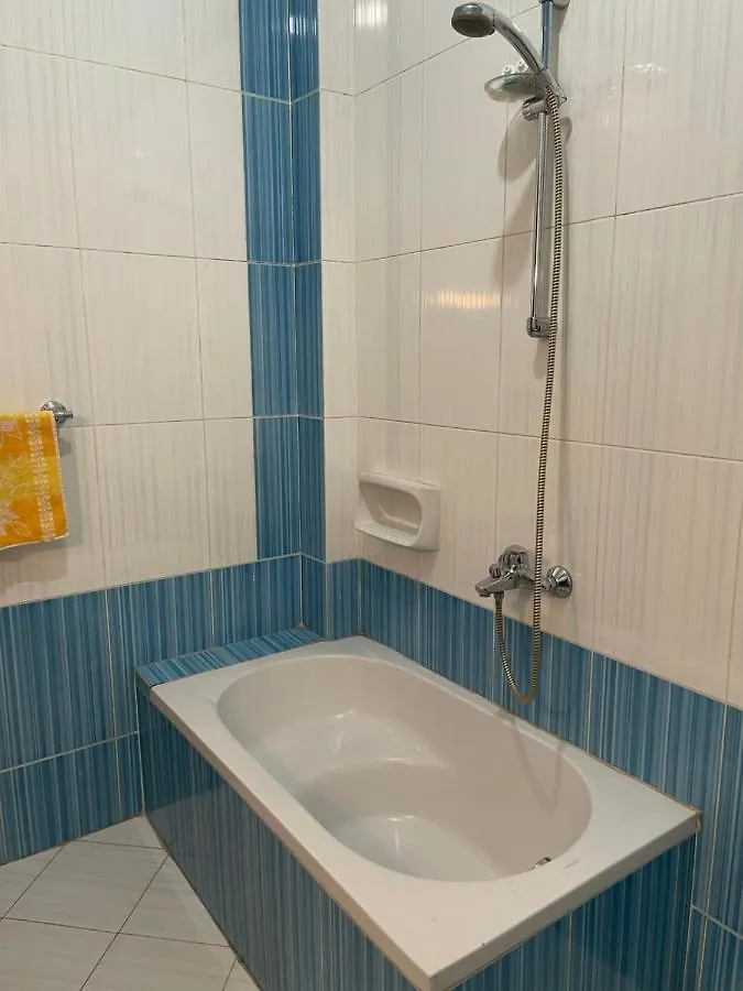 Dr Milad Shokralla Multiple Central Flats Luxor Apartment